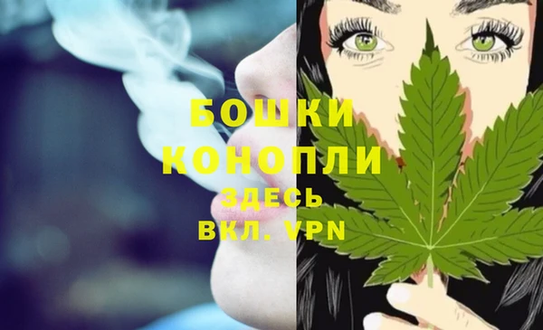 сатива Вязьма