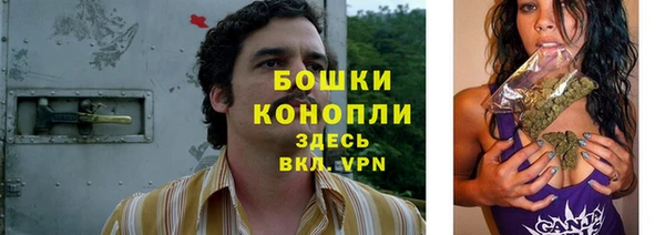 сатива Вязьма