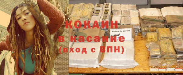 сатива Вязьма