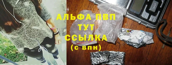сатива Вязьма