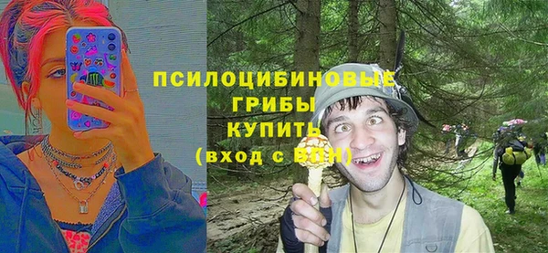 сатива Вязьма