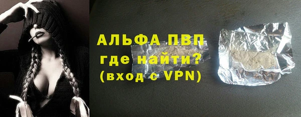 сатива Вязьма