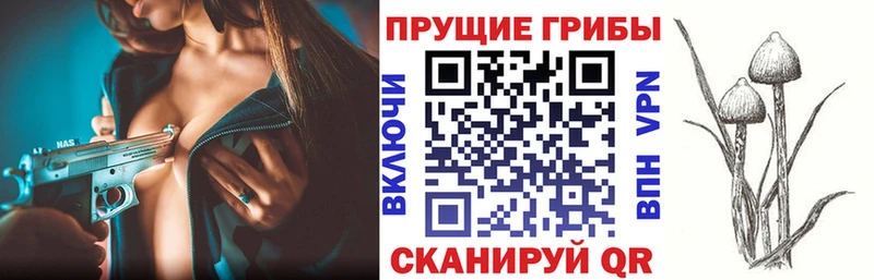 Галлюциногенные грибы MAGIC MUSHROOMS  Пушкино 
